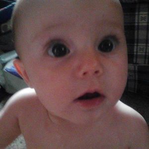 Meet your Posher, Bernard